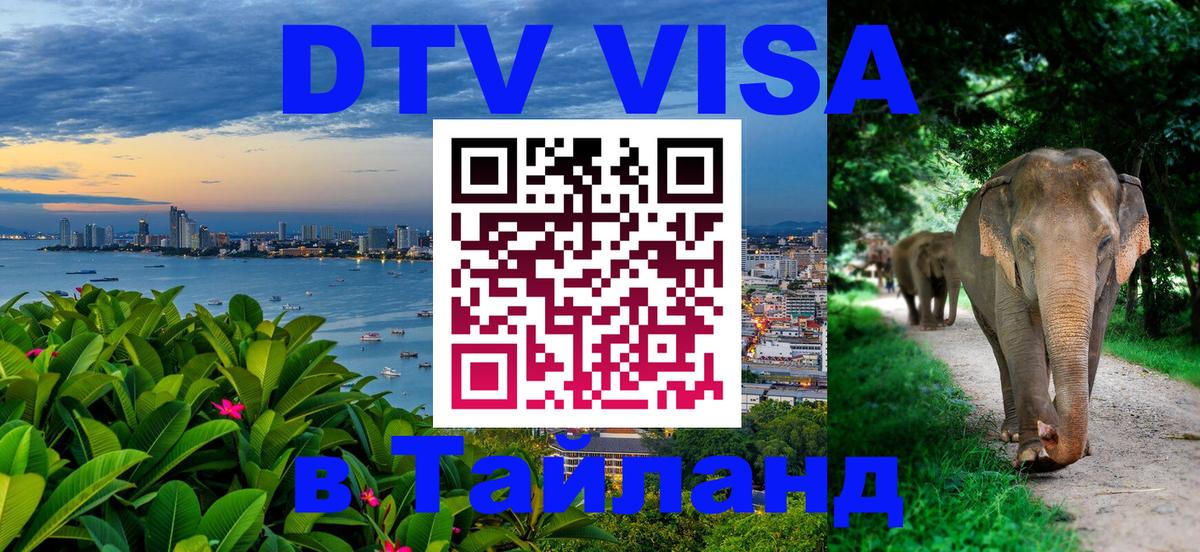 Сколько стоит DTV виза — актуальные цены, оформление даже без документов - 19.11.2025 